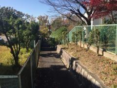 山手緑道