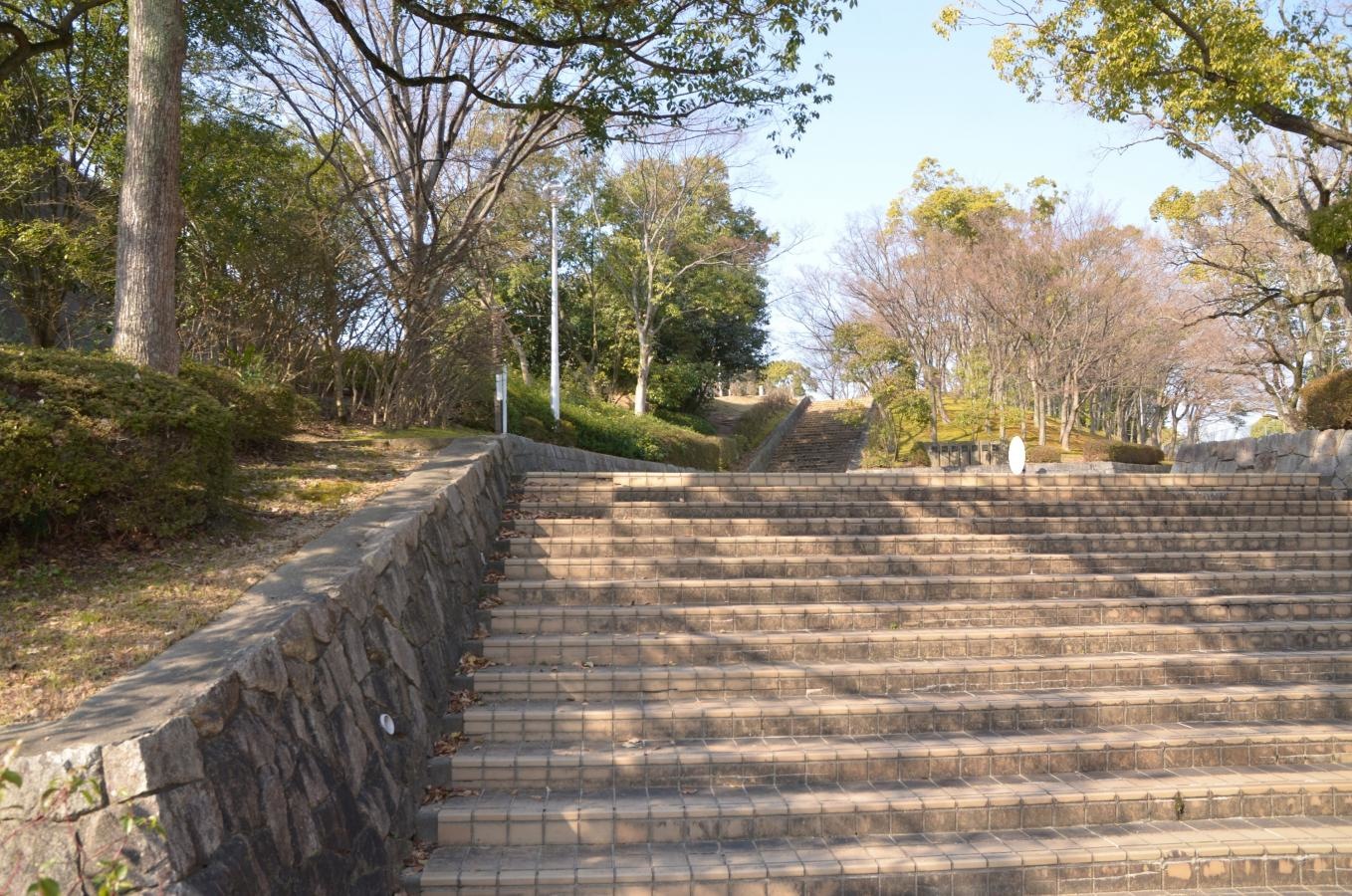 金剛東中央公園