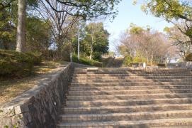 金剛東中央公園