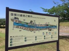 国領川緑地