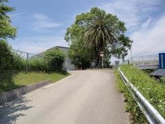 生目小学校