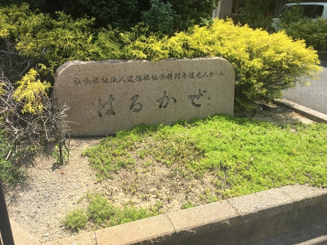 はるかぜ