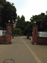 東京芸術大学　上野キャンパス