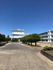 伊福小学校