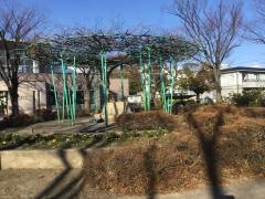 中央公園