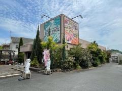 ベビーフェイスプラネッツ　王寺店