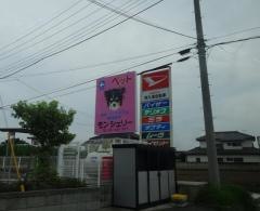 モンシェリー