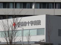 伊勢赤十字病院