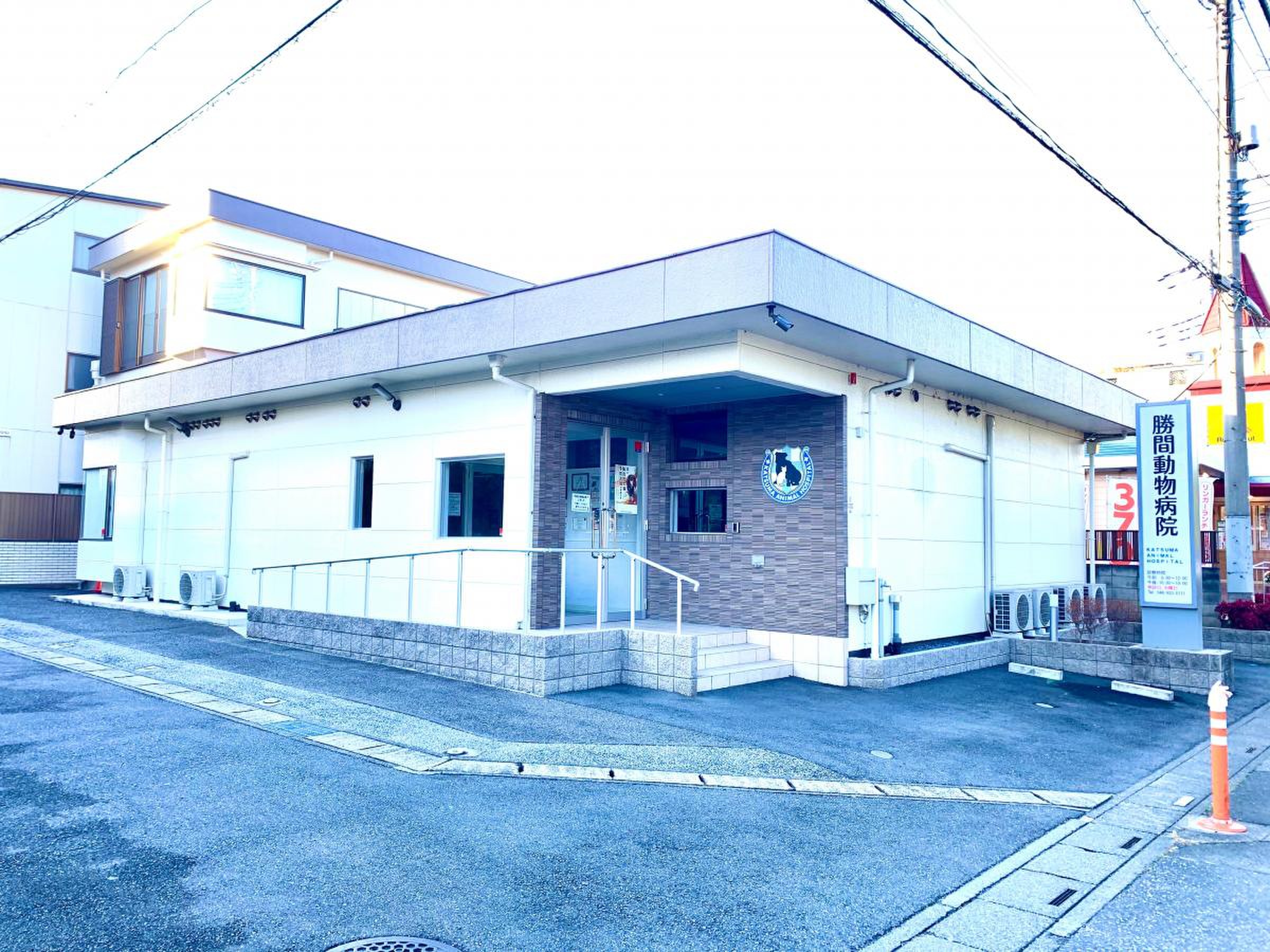 勝間 動物 病院