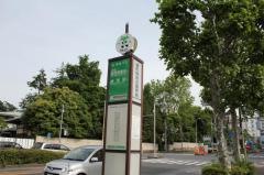 「榎町特別出張所前」バス停留所