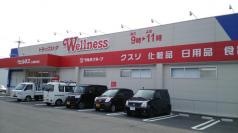 ドラッグストアウェルネス三刀屋中央店