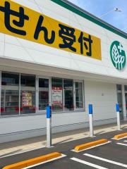 スギ薬局市川大和田店