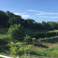橋賀台公園