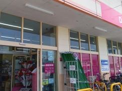 ザ・ダイソー　平塚田村店