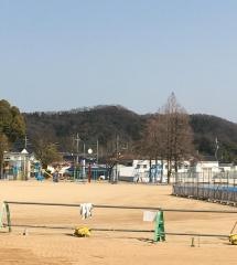 北条小学校