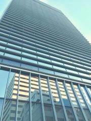大伸化学株式会社