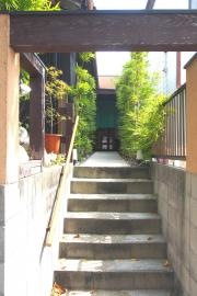 さかな万両