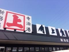 角上魚類川口店