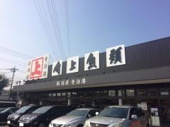 角上魚類川口店
