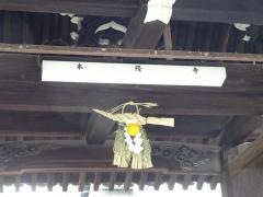 本經寺