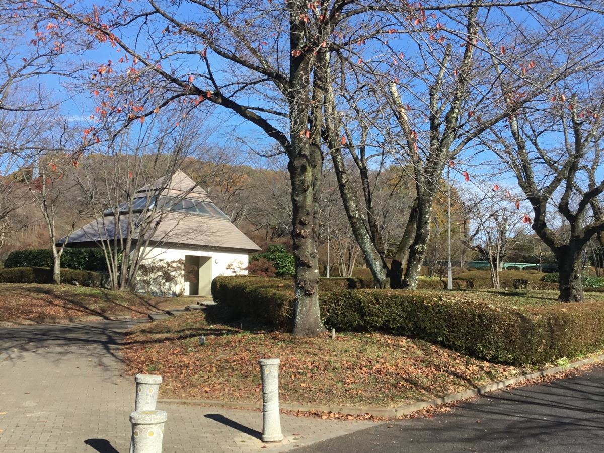 長峰公園の様子
