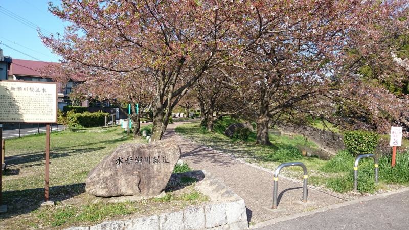 水無瀬川緑地