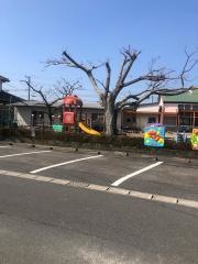 住吉幼稚園