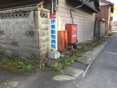 伊東動物病院