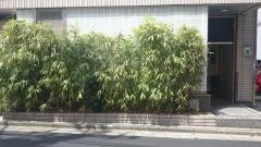 西麻布・拓