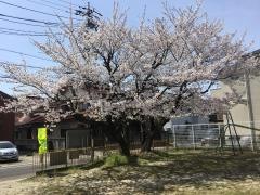 「楠三丁目」バス停留所