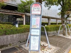 「守山市民ホール前」バス停留所