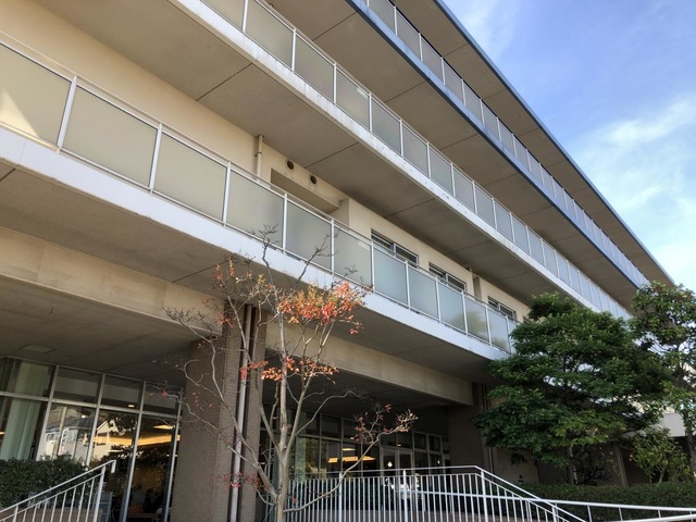 ふるさと 雰囲気