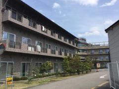 くりのみ館