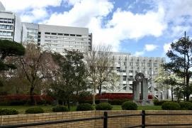 東北大学病院