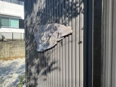 隠れの宮　あさごろも