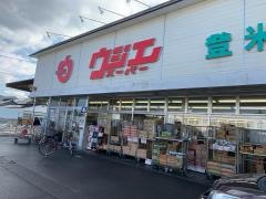 ウジエスーパー登米店