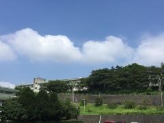 龍田小学校