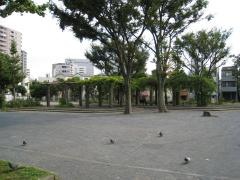 さいわい緑道
