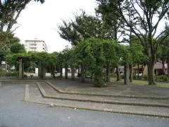 さいわい緑道