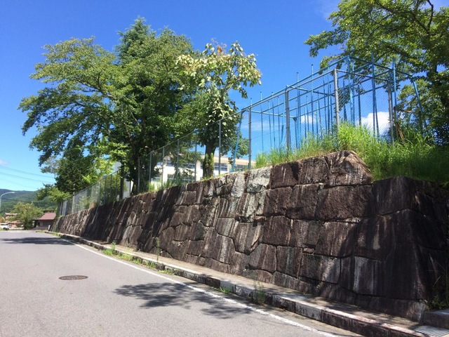 投稿写真1
