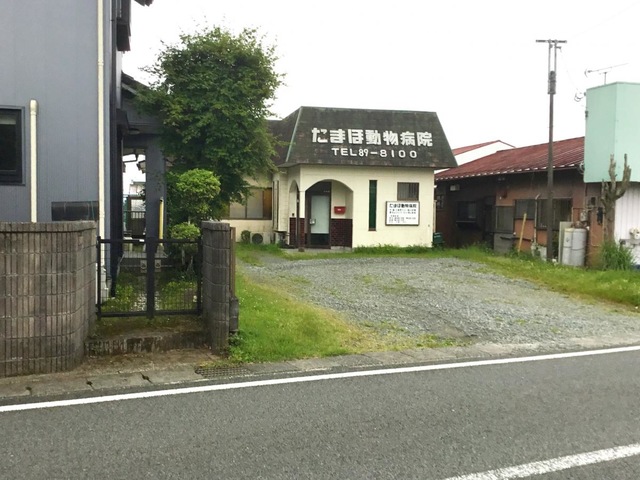投稿写真4