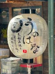 兎の花