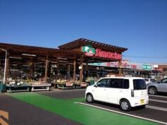 島忠八潮店