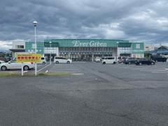 エバグリーン岸和田久米田店