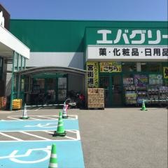 エバグリーン宮街道店