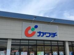 カワチ薬品　日光店