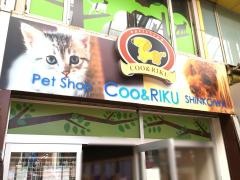 ペットショップＣｏｏ&ＲＩＫＵ　新小岩店