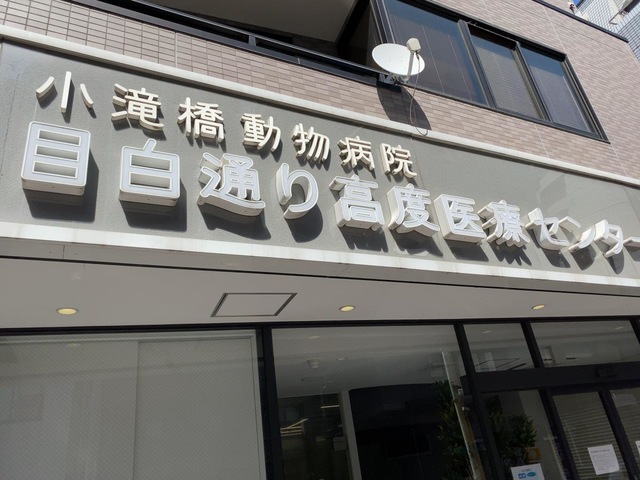 投稿写真2