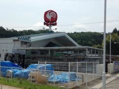 コメリハード＆グリーン　岩村店
