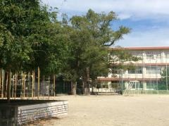 神戸小学校